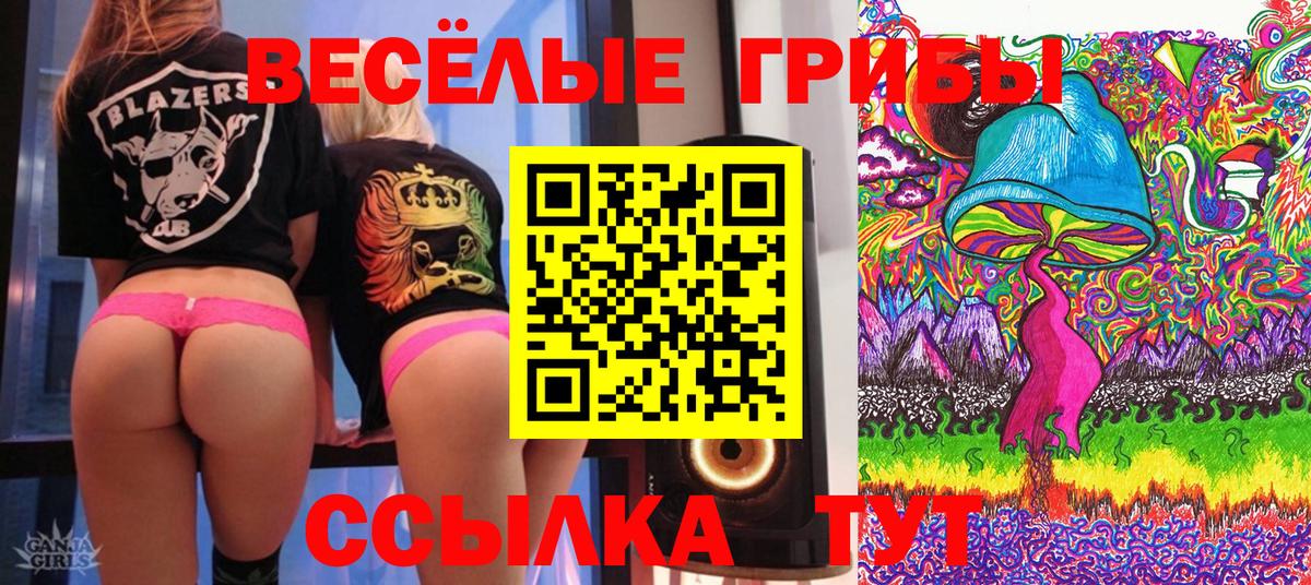 Галлюциногенные грибы прущие грибы Новоалтайск